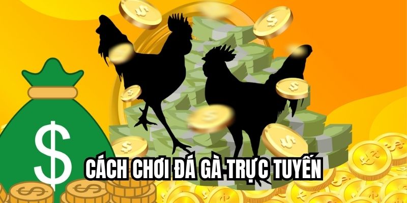 Cách Chơi Đá Gà Trực Tuyến