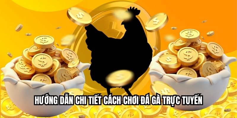 Hướng dẫn chi tiết cách chơi đá gà trực tuyến
