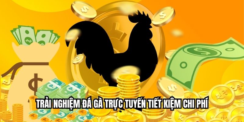 Trải nghiệm đá gà trực tuyến tiết kiệm chi phí