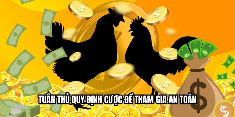 Tuân thủ quy định cược để tham gia an toàn